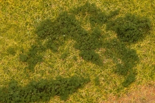 Faller 181623 - Blätterfoliage, dunkelgrün